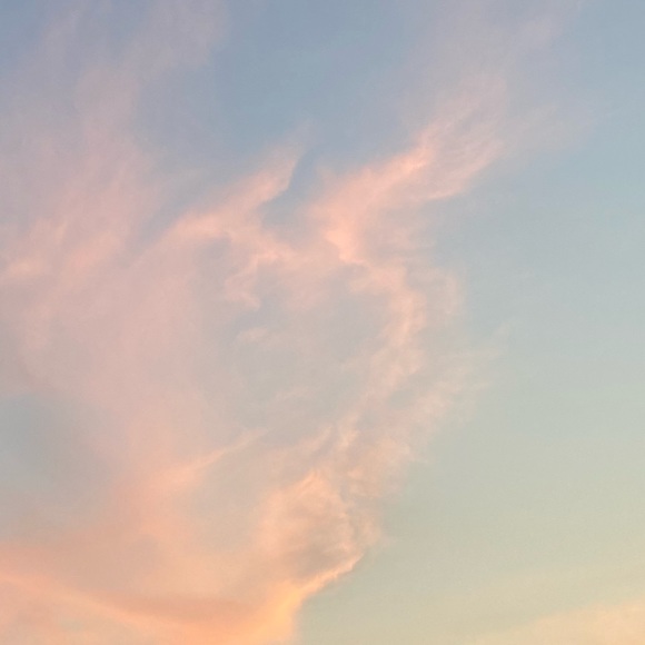 Meet your Posher, Samantha - Picture 1 of 1